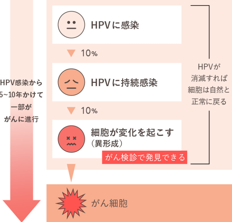 子宮頚部異形成